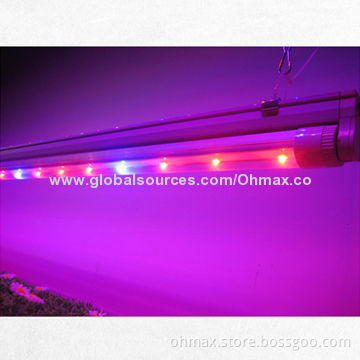 T8 Tube LED Poultry Grow Light, 18W for Egg Production for Poultry of Turkey and Chicken